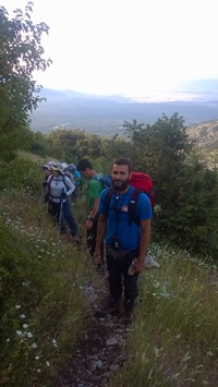 vodici